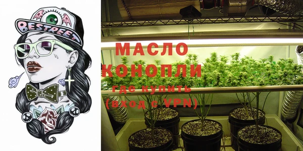 PSILOCYBIN Алзамай