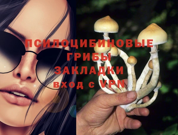 PSILOCYBIN Алзамай