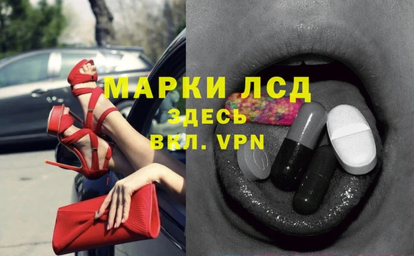 PSILOCYBIN Алзамай
