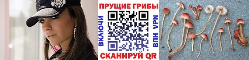 Псилоцибиновые грибы ЛСД  площадка формула  Урюпинск 
