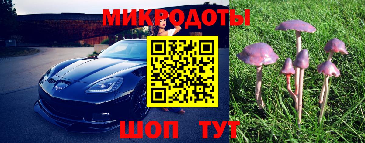 Галлюциногенные грибы GOLDEN TEACHER  Галлюциногенные грибы прущие грибы  Урюпинск  Вход с VPN 