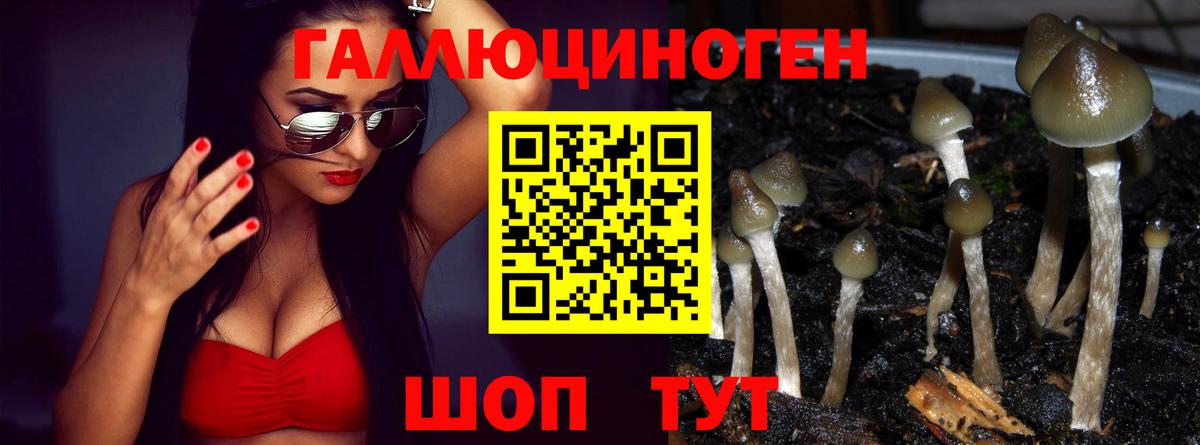 Псилоцибиновые грибы GOLDEN TEACHER Урюпинск